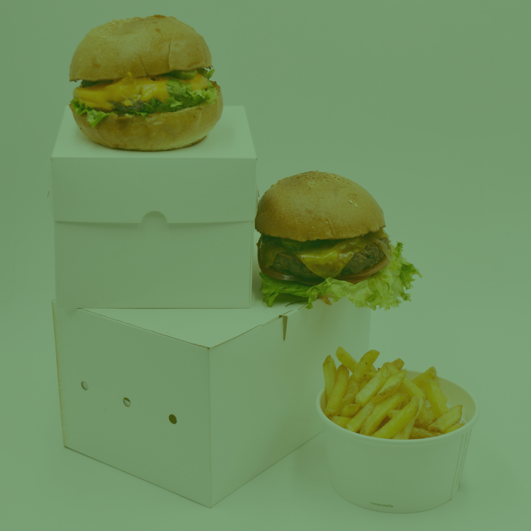 Cajas Desechables